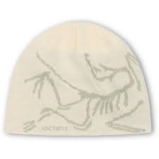ArcteryX Bird Head Toque Beanie(D)